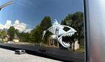 Fish Skeleton