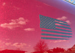 American Flag 1